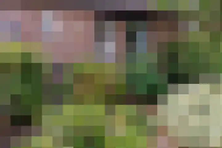 den Brier 111 Uden thumbnail 30