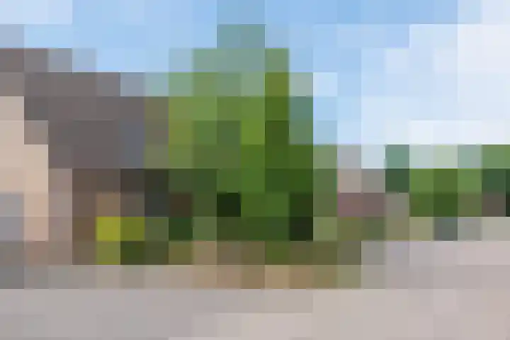 den Brier 111 Uden thumbnail 33