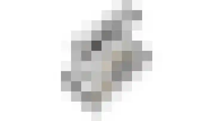 den Brier 111 Uden thumbnail 35