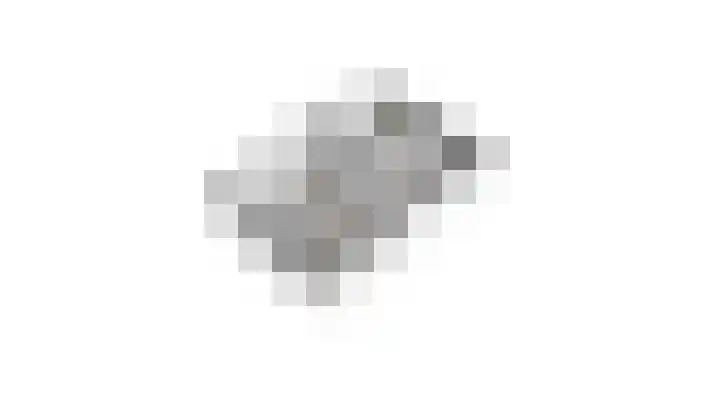 den Brier 111 Uden thumbnail 39