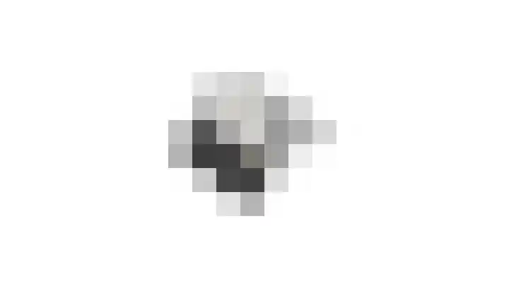 den Brier 111 Uden thumbnail 42