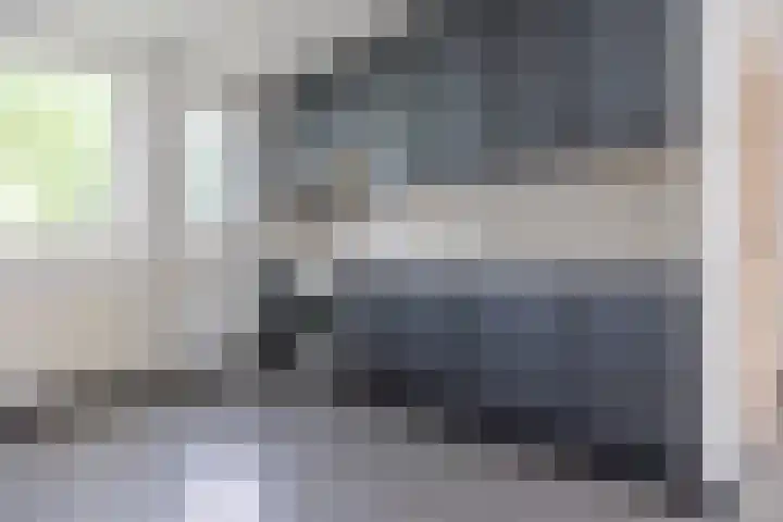 den Brier 111 Uden thumbnail 7