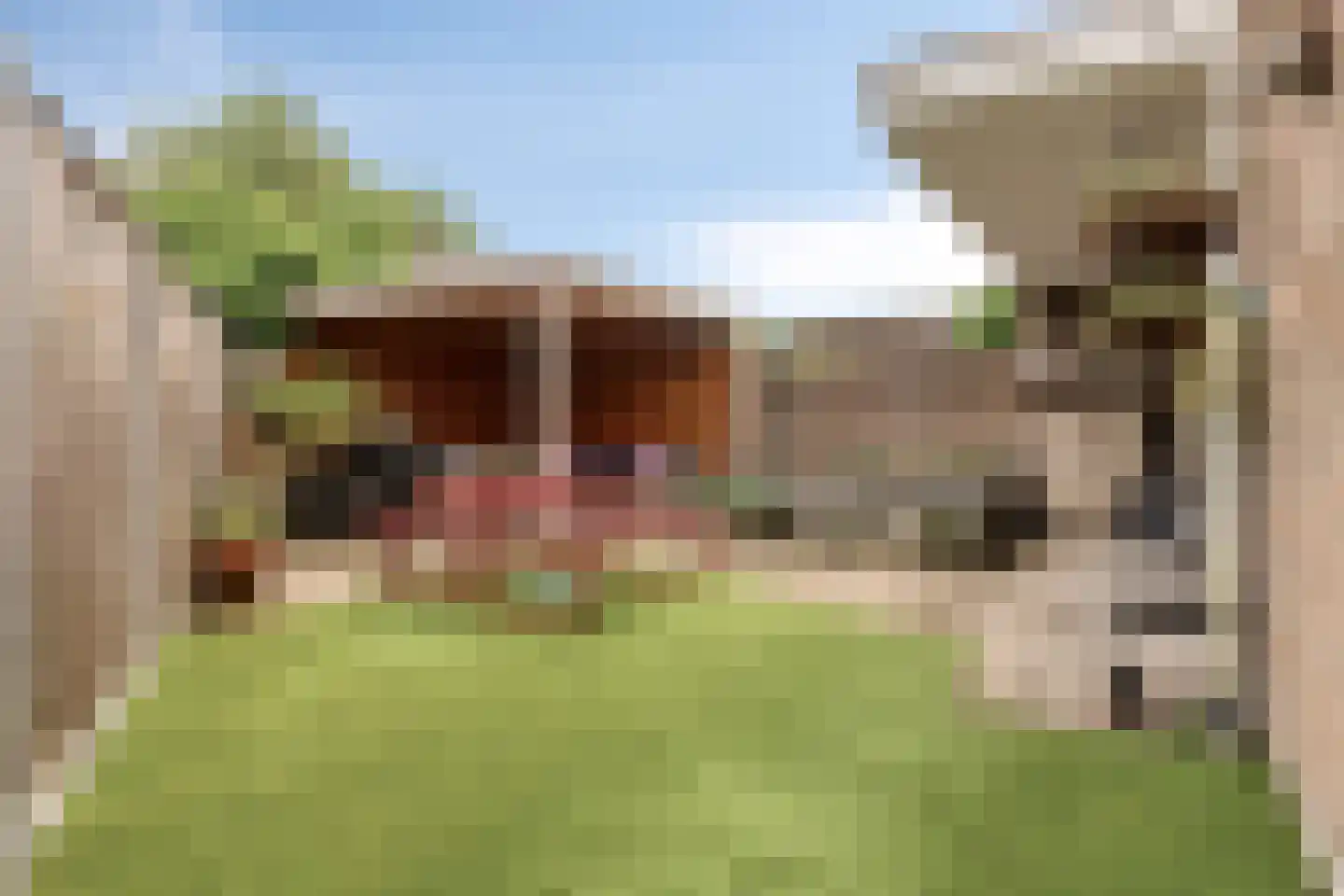 den Brier 201 Uden thumbnail 31