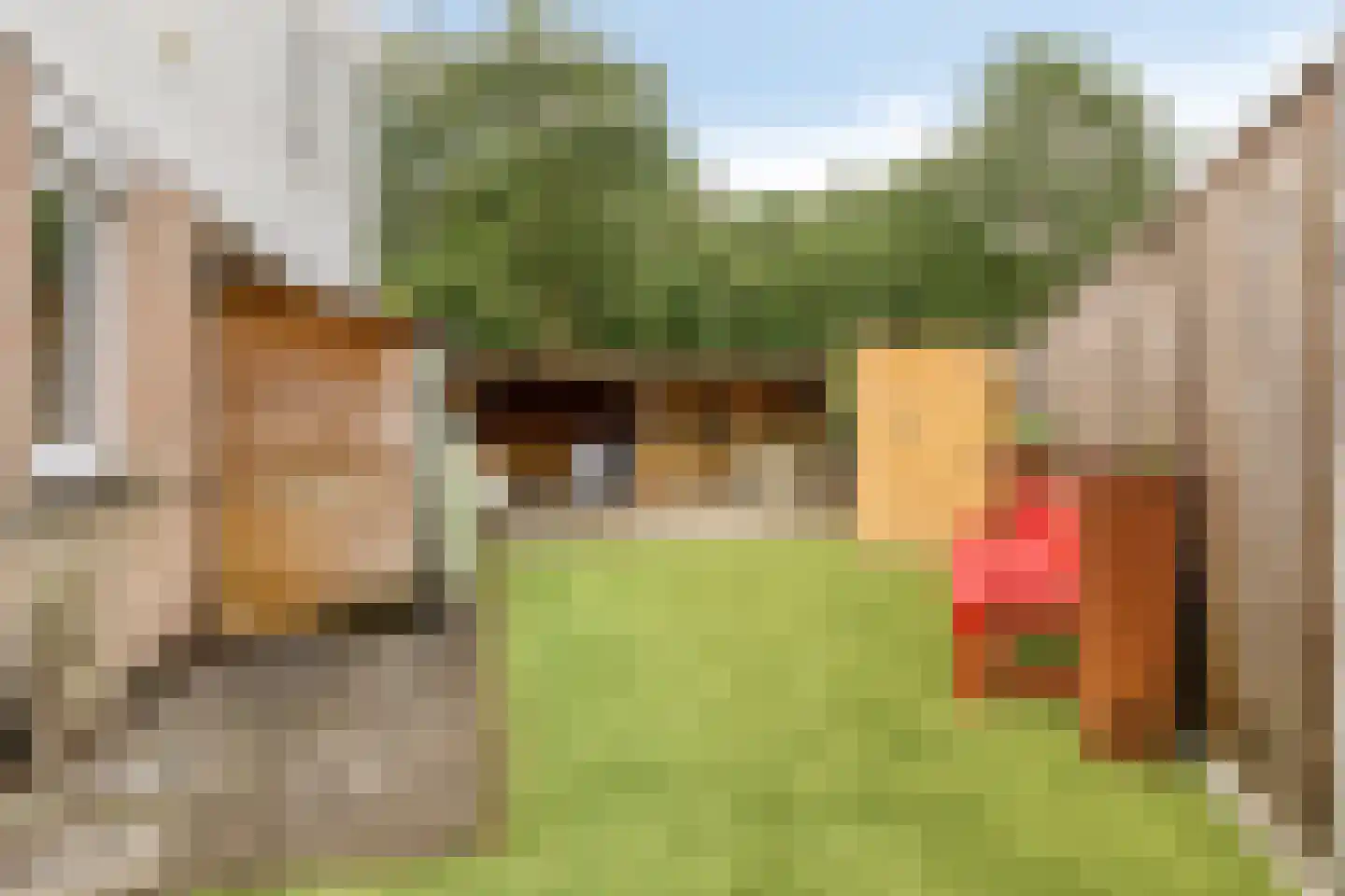 den Brier 201 Uden thumbnail 34