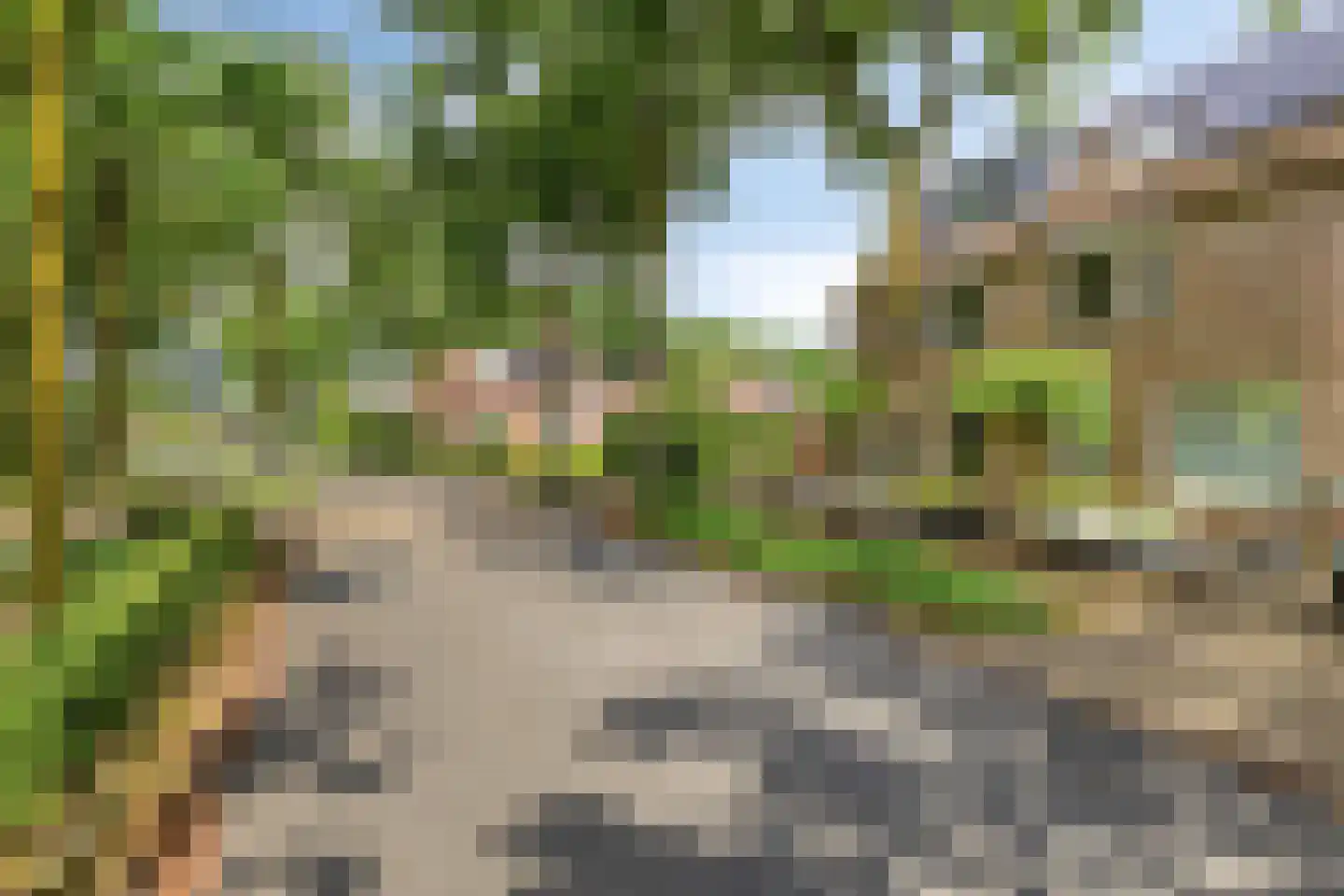 den Brier 201 Uden thumbnail 6