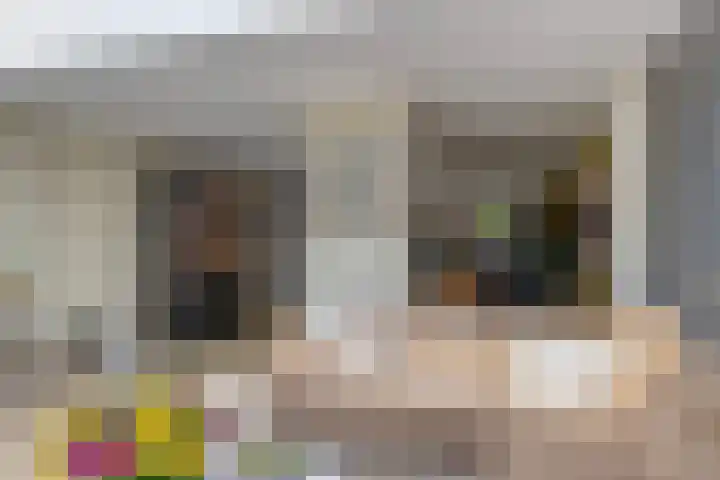 den Brier 305 Uden thumbnail 12
