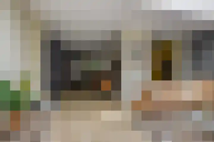 den Brier 305 Uden thumbnail 14