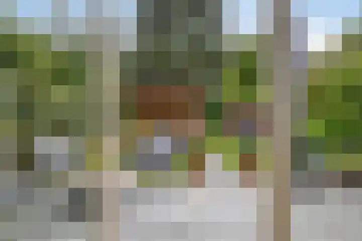 den Brier 305 Uden thumbnail 36