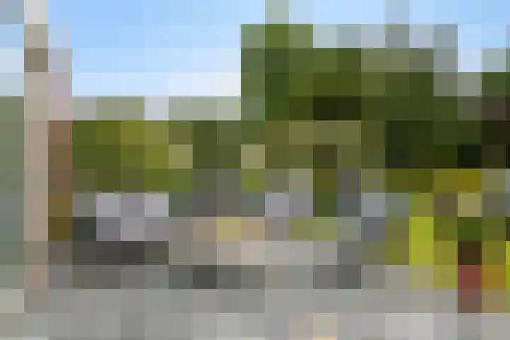 den Brier 305 Uden thumbnail 37