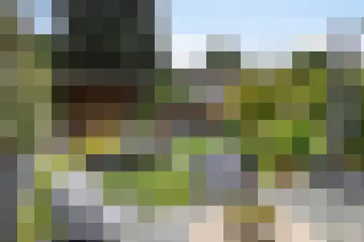 den Brier 305 Uden thumbnail 38