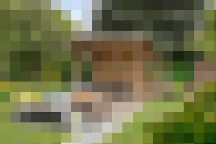 den Brier 305 Uden thumbnail 39
