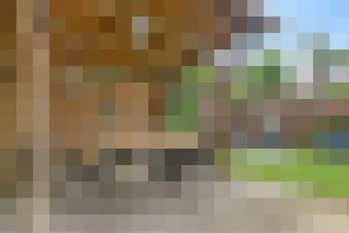den Brier 305 Uden thumbnail 42