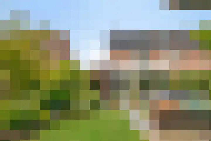 den Brier 305 Uden thumbnail 43
