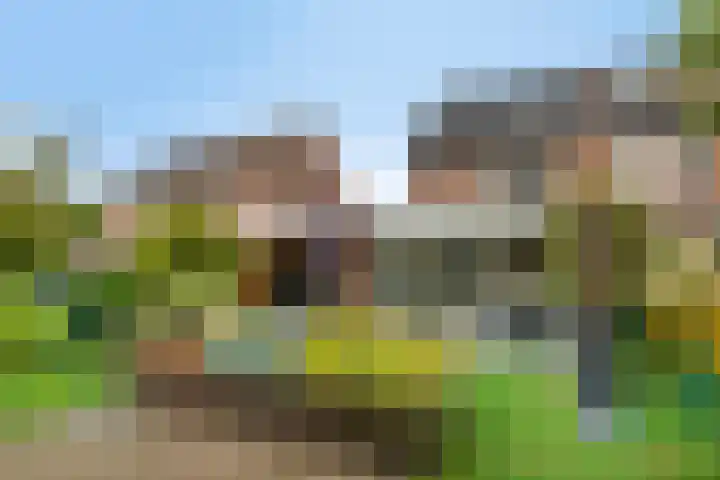 den Brier 305 Uden thumbnail 44