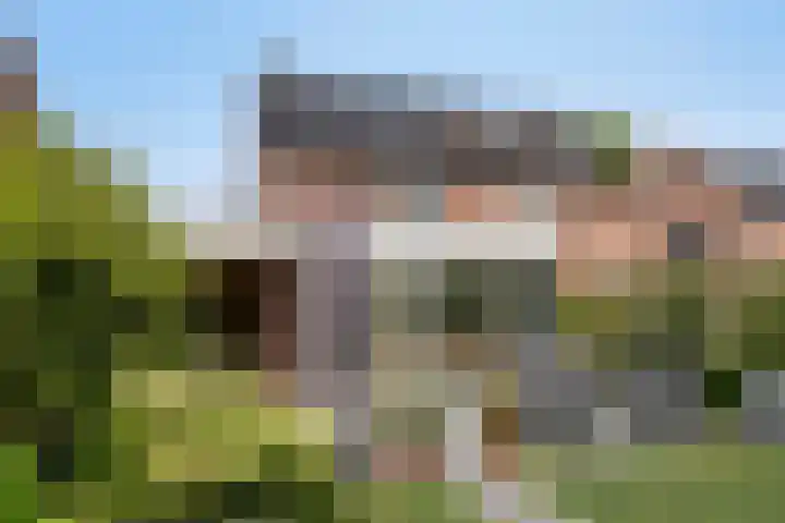 den Brier 305 Uden thumbnail 45