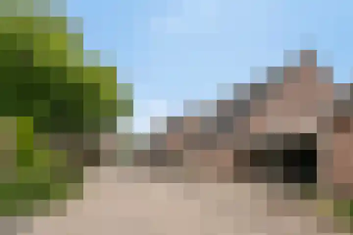den Brier 305 Uden thumbnail 47
