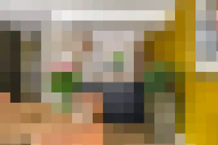 den Brier 305 Uden thumbnail 5