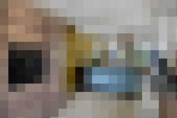 den Brier 305 Uden thumbnail 8