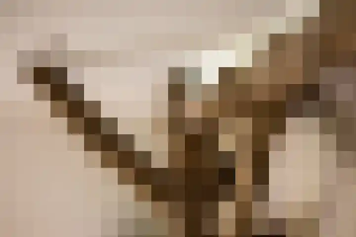 Den Broekweg 3 Brummen thumbnail 10