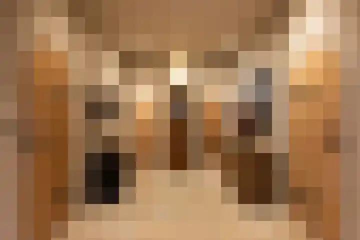 Den Broekweg 3 Brummen thumbnail 14