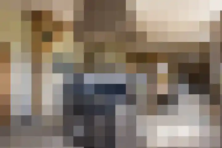 Den Broekweg 3 Brummen thumbnail 15