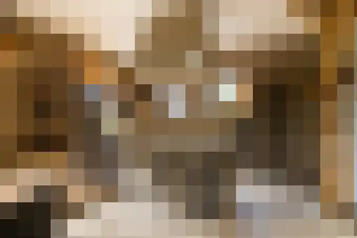 Den Broekweg 3 Brummen thumbnail 16