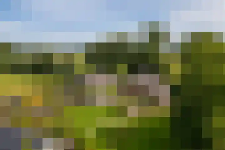 Den Broekweg 3 Brummen thumbnail 59