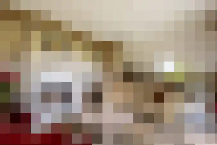 Den Broekweg 3 Brummen thumbnail 6