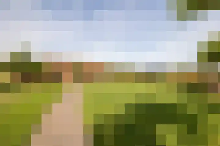 Den Broekweg 3 Brummen thumbnail 60
