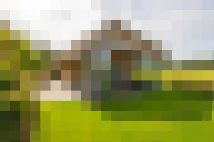 Den Broekweg 3 Brummen thumbnail 61