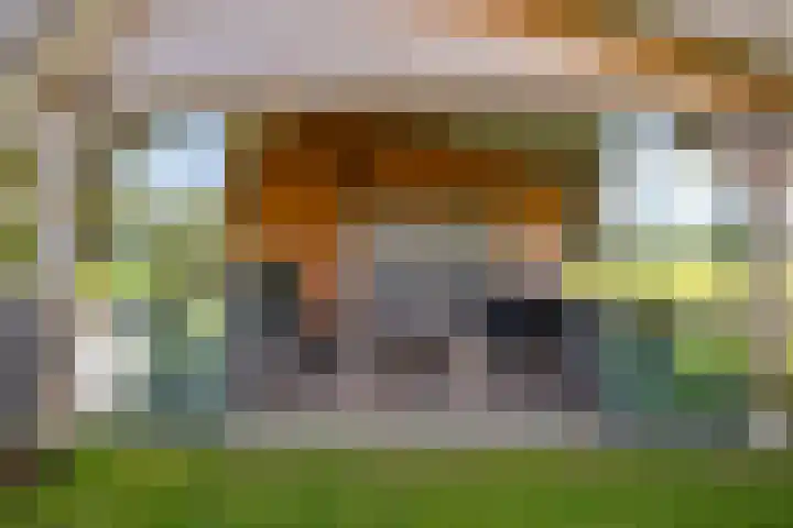 Den Broekweg 3 Brummen thumbnail 62