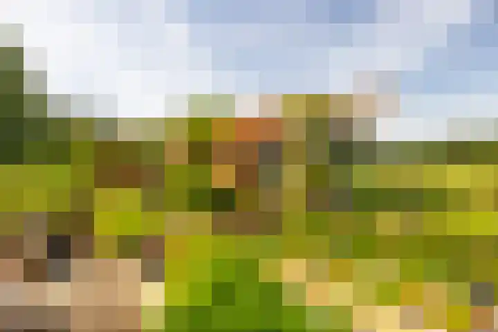Den Broekweg 3 Brummen thumbnail 63