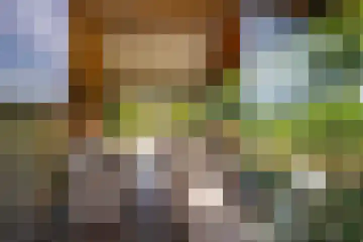 Den Broekweg 3 Brummen thumbnail 64