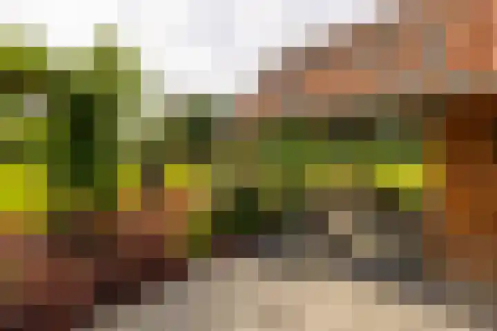 Den Broekweg 3 Brummen thumbnail 65