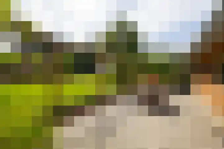 Den Broekweg 3 Brummen thumbnail 67