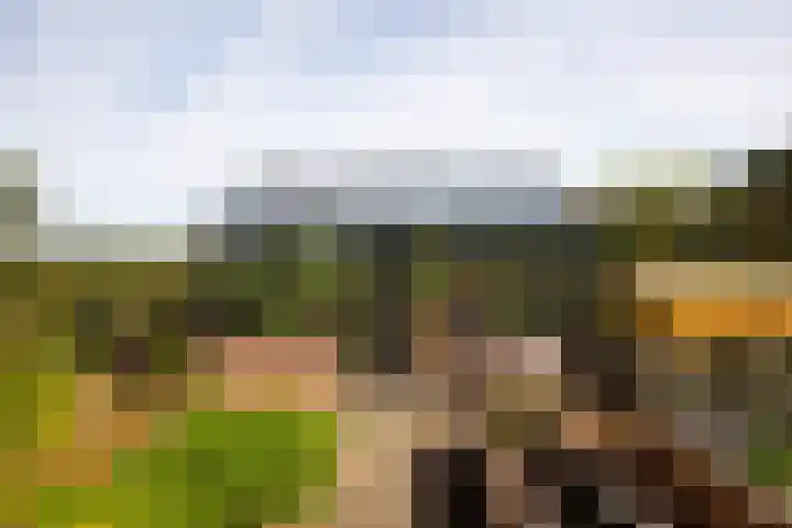Den Broekweg 3 Brummen thumbnail 68