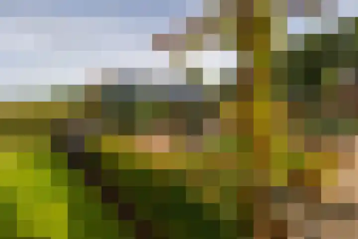 Den Broekweg 3 Brummen thumbnail 69