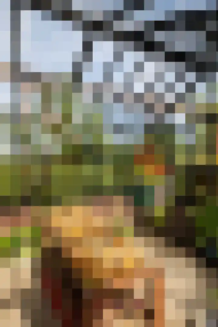 Den Broekweg 3 Brummen thumbnail 70