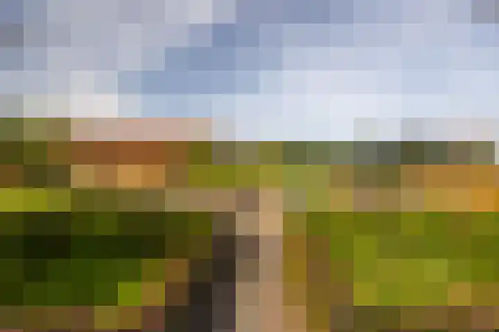 Den Broekweg 3 Brummen thumbnail 71
