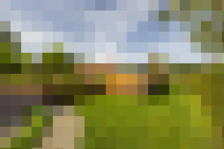 Den Broekweg 3 Brummen thumbnail 72