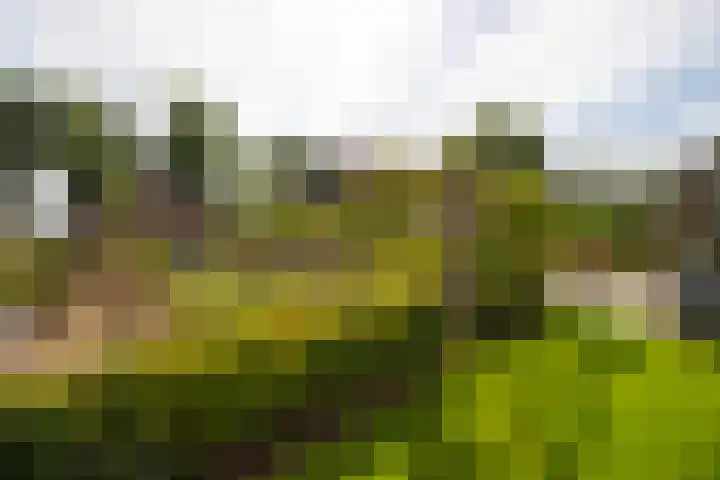 Den Broekweg 3 Brummen thumbnail 73