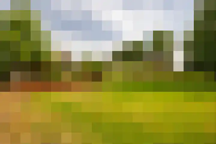 Den Broekweg 3 Brummen thumbnail 74