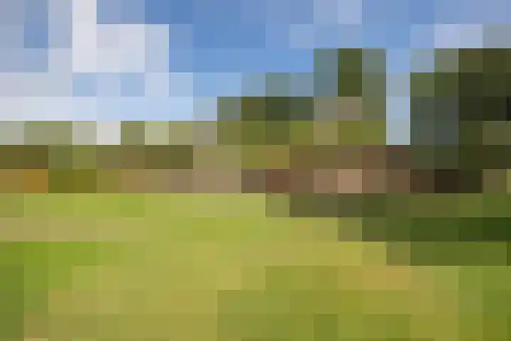 Den Broekweg 3 Brummen thumbnail 75