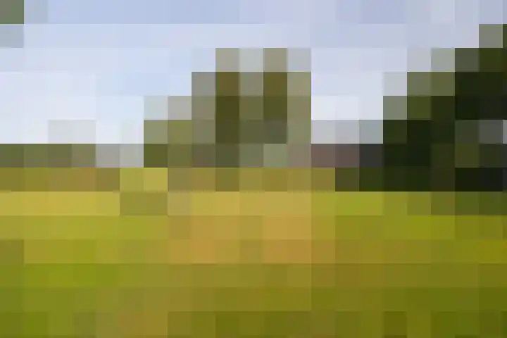 Den Broekweg 3 Brummen thumbnail 76