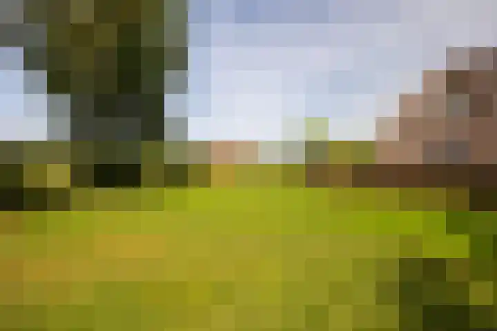 Den Broekweg 3 Brummen thumbnail 77