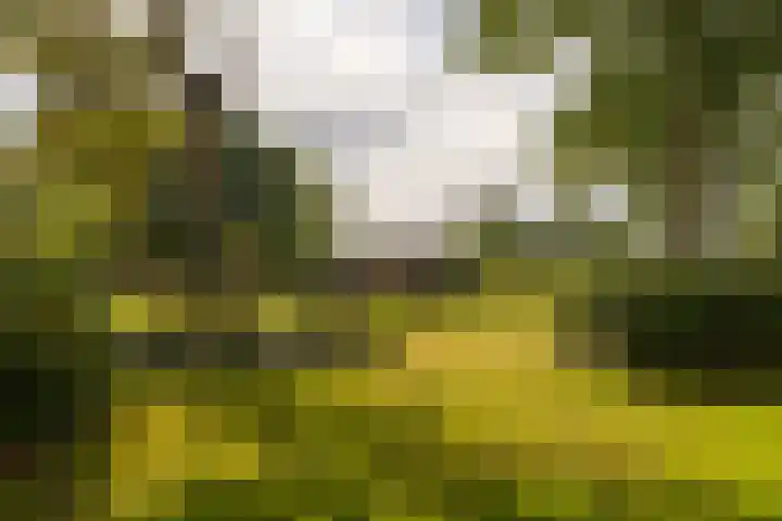 Den Broekweg 3 Brummen thumbnail 78