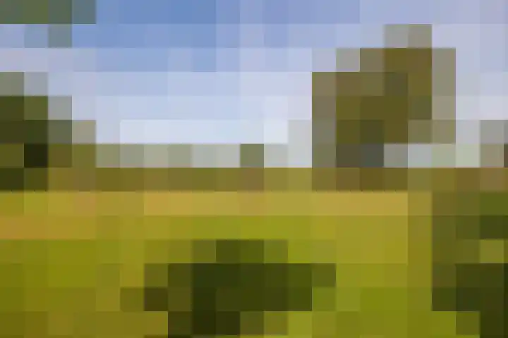 Den Broekweg 3 Brummen thumbnail 79