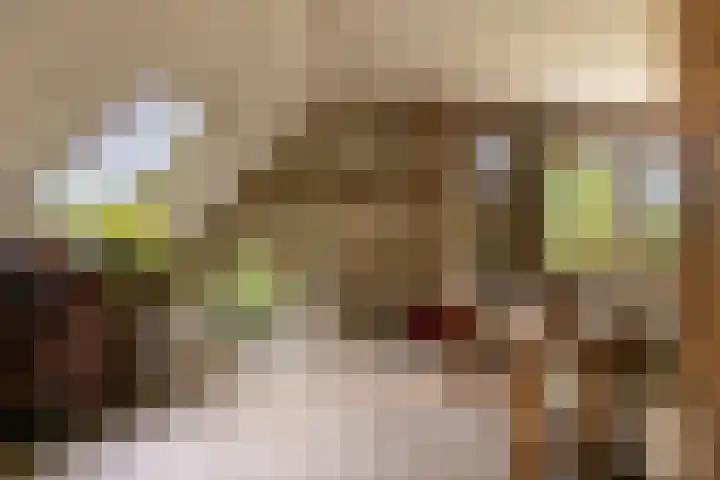 Den Broekweg 3 Brummen thumbnail 8