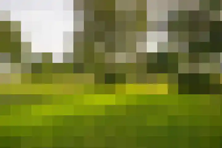Den Broekweg 3 Brummen thumbnail 80