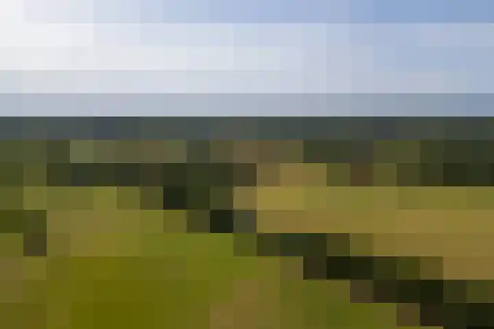 Den Broekweg 3 Brummen thumbnail 81